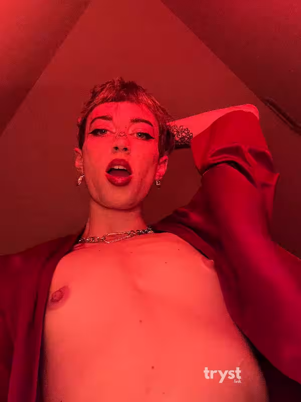 companion/Massage/S&M Scarlet in North Hollywood, CA