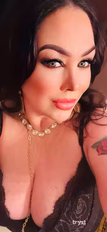 companion/Massage/S&M Alexis Couture / Alexis Taylor in Palm Springs, CA
